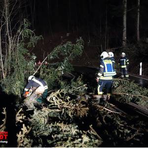 Einsatz : Baum auf Fahrbahn mit Gefahr | Abteilungen Mainhardt und Ammertsweiler | 10.03.2019