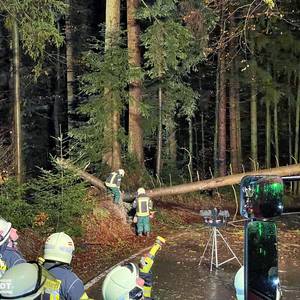Einsätze : Bäume auf Fahrbahn mit Gefahr | Abteilungen Bubenorbis, Geißelhardt und Mainhardt | 21.12.2023