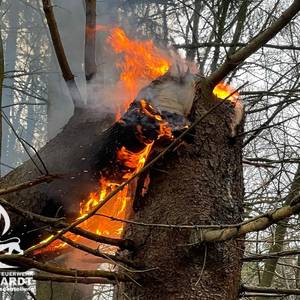 Einsatz : Brennender Baum | Abteilung Mainhardt | 14.03.2023
