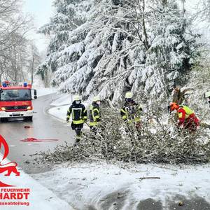 Einsatz : Baum auf Fahrbahn mit Gefahr | Abteilung Bubenorbis | 02.04.2022